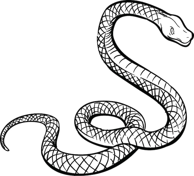 Vettore serpente contorto disegnato a mano isolato su sfondo vuoto vettore monocromatico serpente vista laterale nero an