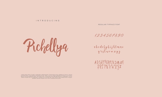Hand drawn typeface set isolated on white. Brush painted characters lowercase and uppercase. Vector