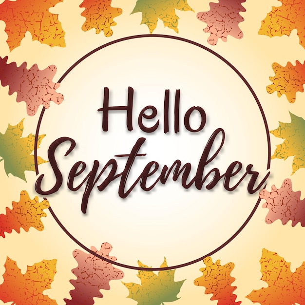 Vector hand drawn typography lettering phrase with autumn leaves, autumn leaf ornamental frame. hello september