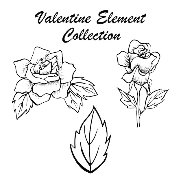 Hand Drawn Valentine Floral Collection
