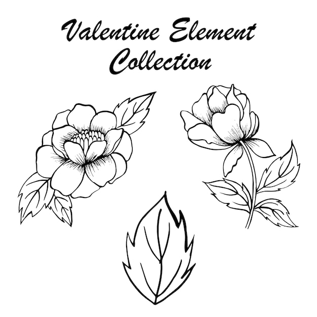 Vector hand drawn valentine floral collection