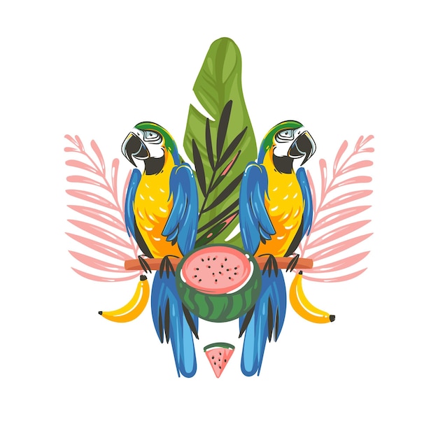 Vector hand drawn vector abstract cartoon summer time graphic illustrations art with exotic tropical sign with rainforest parrot macaw birdswatermelon and tropical leaves isolated on white background