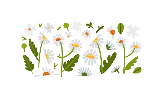 벡터 꽃 데이지 꽃과 잎의 추상적인 자연 모양과 구성의 손으로 그린 벡터 추상 그래픽 클립 아트 일러스트 컬렉션 집합현대 자연 디자인 클립 아트botanical garden