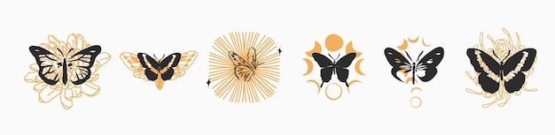 손으로 그린 벡터 추상적인 그래픽 삽화 로고 마법의 선 실루엣이 있는 천체 디자인 개념 신비로운 비행 나비나방과 달의 위상이 격리된 매직 그리기 나비 아이콘 세트