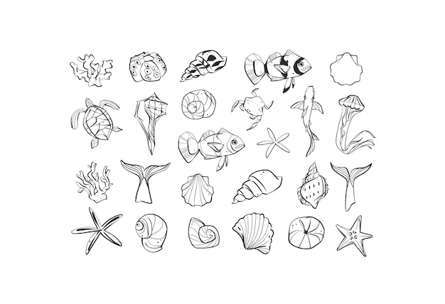 Vector hand drawn vector abstract minimalistic line art graphic drawing tropical underwater fish and seashells icon sign collection set isolatedsummer sea design concepttropical summer underwater logo set