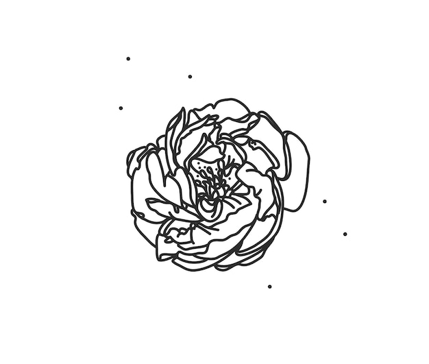 Illustrazione grafica piatta stock astratto vettoriale disegnato a mano con elemento logo della linea arte floreale di peonia in stile semplice per brandingisolato su sfondo biancoconcetto femminile boho magico sacro