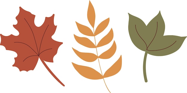 Hand drawn vector autumn leaves set Simle tree elements in autumn colors