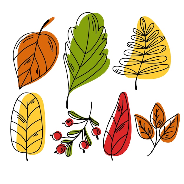 Hand drawn vector autumn leaves set