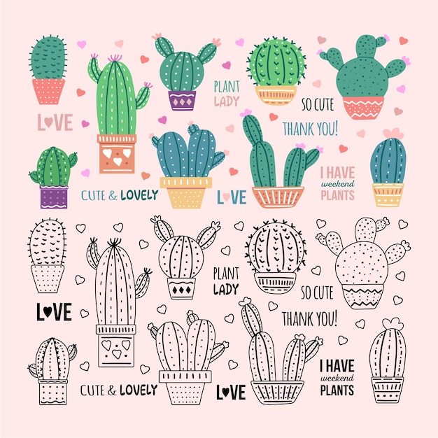 Hand drawn vector cacti set with calligraphy lettering Outline doodle and flat colored design