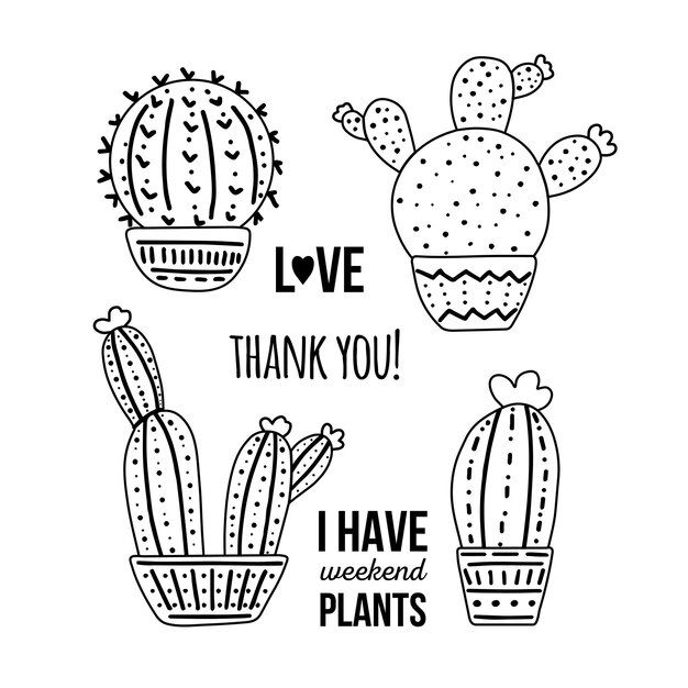 Set di cactus vettoriali disegnati a mano con lettere calligrafiche disegno grafico in stile doodle