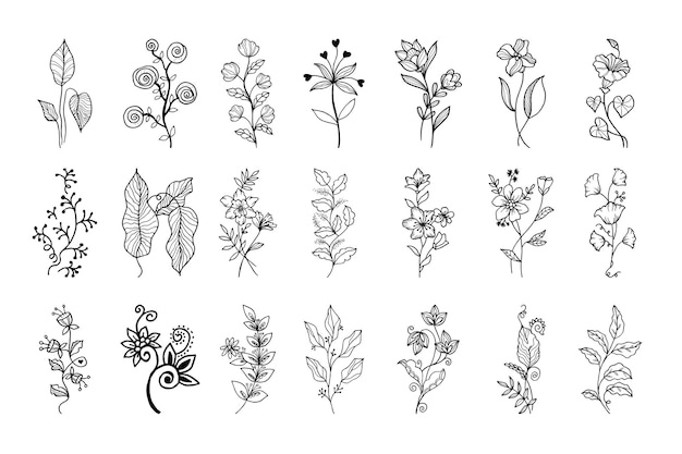 Vector hand drawn vector design floral elements vector illustration