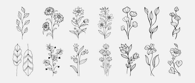 Hand drawn vector design floral elements Vector illustration