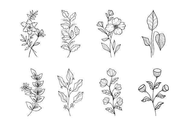 Hand drawn vector design floral elements