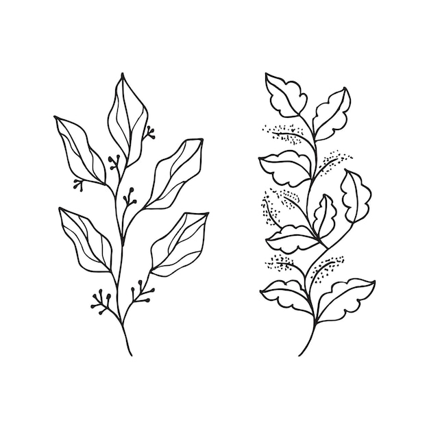 Hand drawn vector design floral elements
