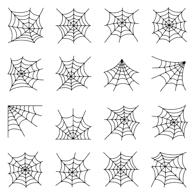 Hand drawn vector drawing Spider web icon set Black and White sketch transparent background