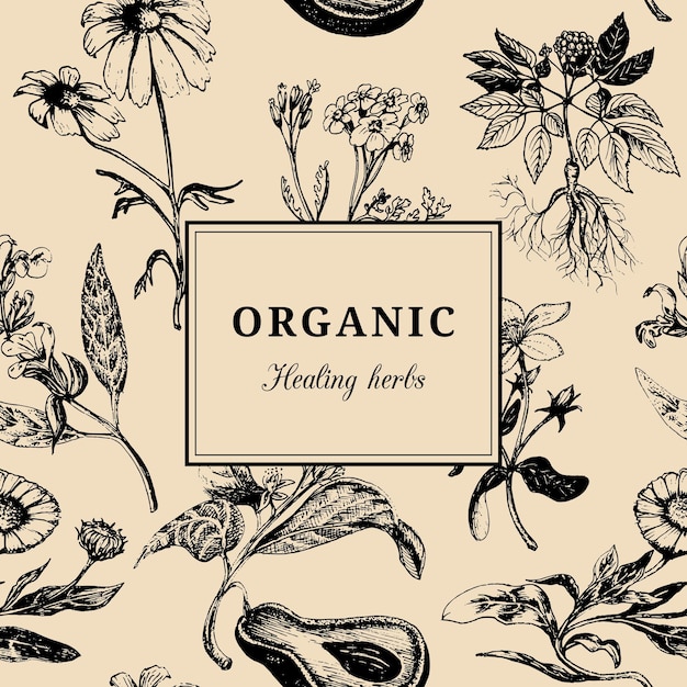 手描きのベクトルハーブ有機癒しの植物の背景ヴィンテージ花柄カードまたはポスター