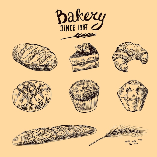 Hand drawn vector illustration bakery