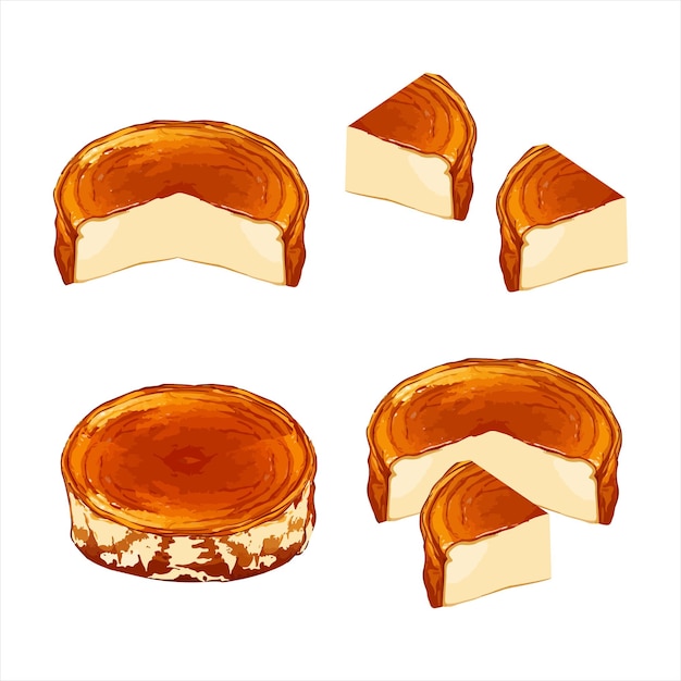 Vector hand drawn vector illustration of basque burnt cheesecake