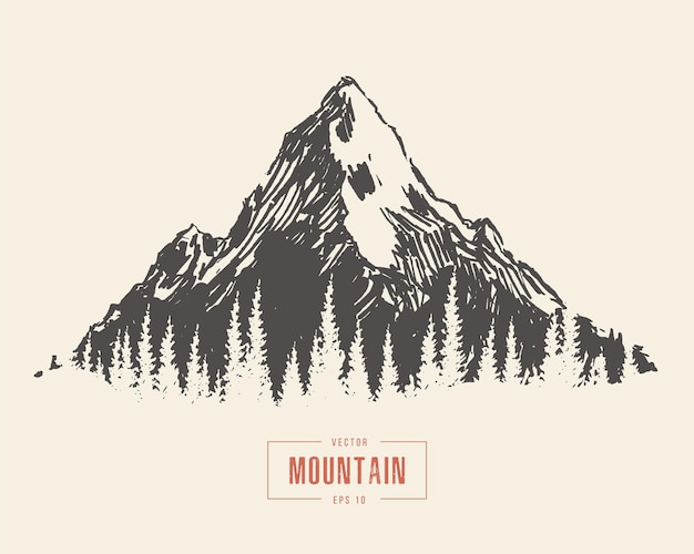 Hand drawn vector illustration of beautiful mountain landscape with lake and spruces