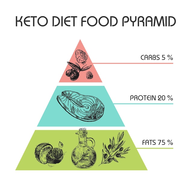 Hand drawn vector illustration KetoDiet nutrition and exercise protein Ketonic diet food pyramid