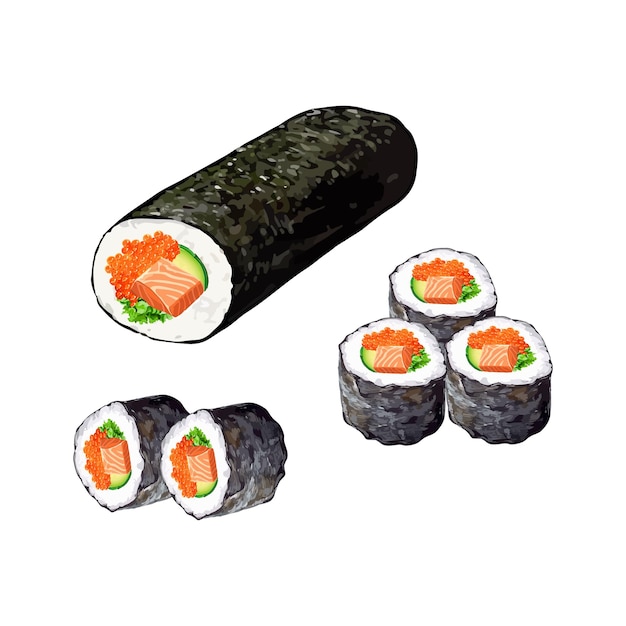 Vector hand drawn vector illustration of kimbap or korean seaweed rice rolls