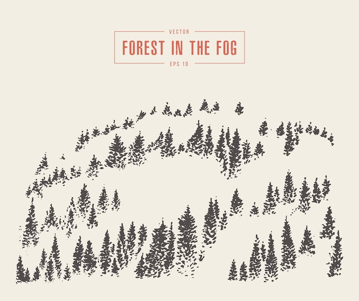 Vector hand drawn vector illustration of misty fog in pine forest on mountain slopes