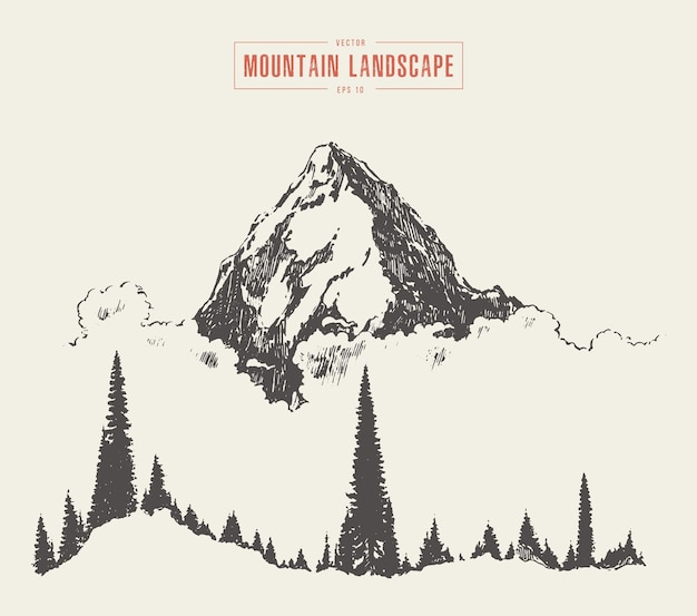Hand drawn vector illustration of a mountain peak with fir forest and clouds