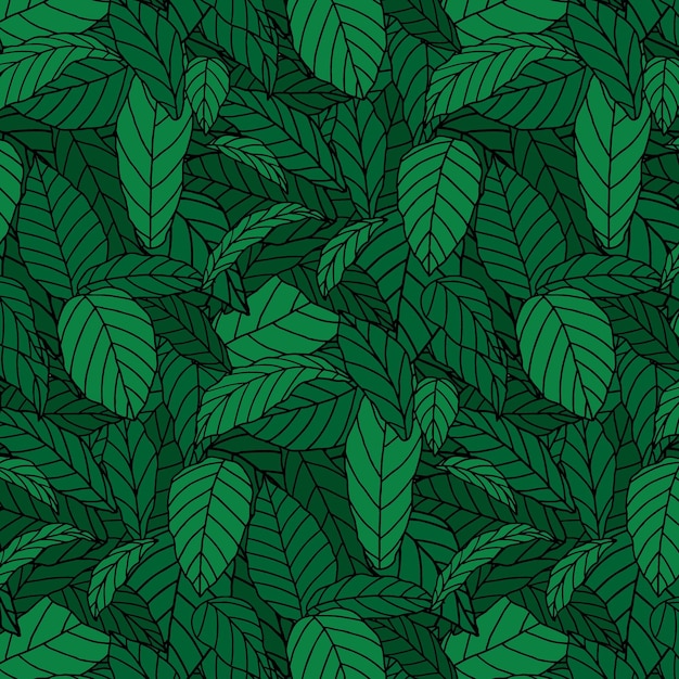 Hand drawn vector illustration of pattern of green leaf wallpaper background