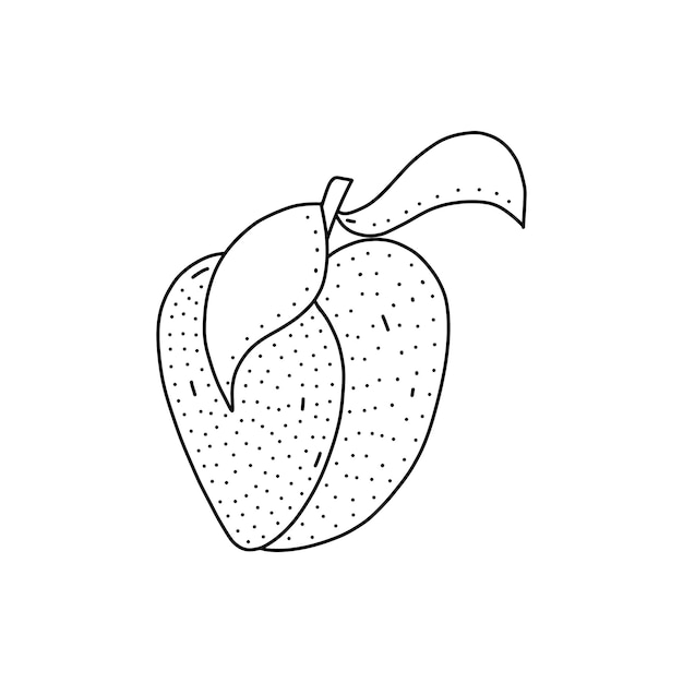 Hand drawn vector illustration of a peach in doodle style Cute illustration of a fruit