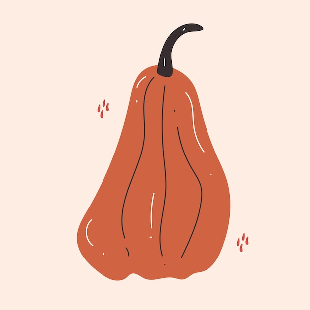 Illustrazione vettoriale disegnata a mano di una zucca in colori autunnali