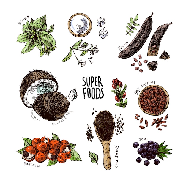 Hand drawn vector illustration superfoods