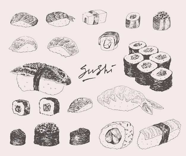 Hand drawn vector illustration of sushi set