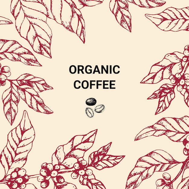 Hand drawn Vector illustration with vintage coffee frame Template for Organic coffee shop