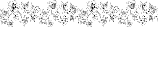 Вектор Ручной рисунок векторных чернил орхидеи цветы и ветви монохромный подробный контур горизонтальный бесшовный баннер изолированный на белом фоне дизайн для настенного искусства свадебный принт татуировка обложка карты