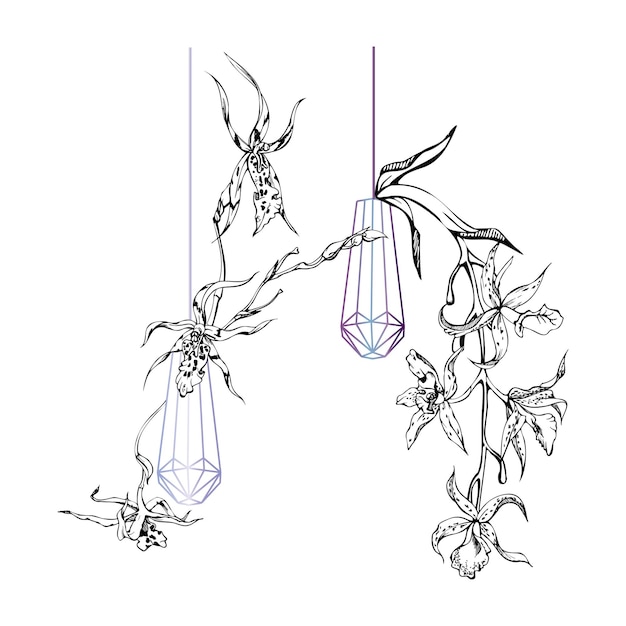 hand drawn vector ink orchid flowers and branches monochrome detailed outline composition with crystal form isolated on white background design for wall art wedding print tattoo cover card