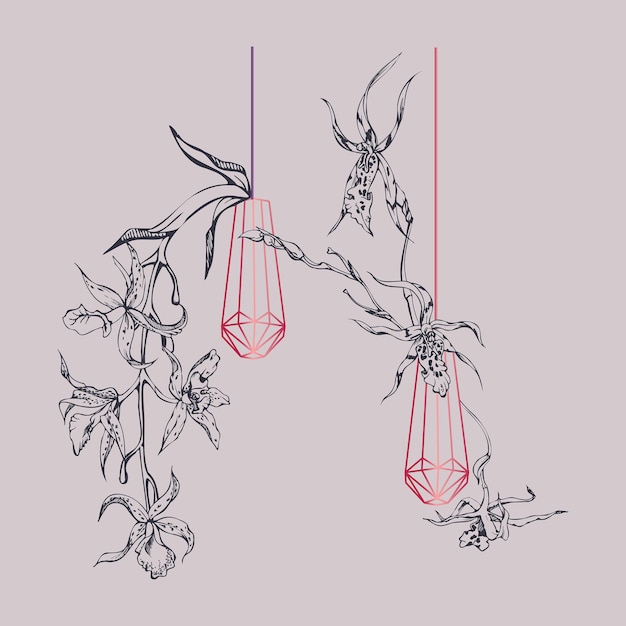 hand drawn vector ink orchid flowers and branches monochrome detailed outline composition with crystal form viva magenta color design for wall art wedding print tattoo cover card