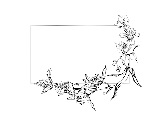 Hand drawn vector ink orchid flowers and branches monochrome detailed outline Horizontal frame composition Isolated on white background Design for wall art wedding print tattoo cover card