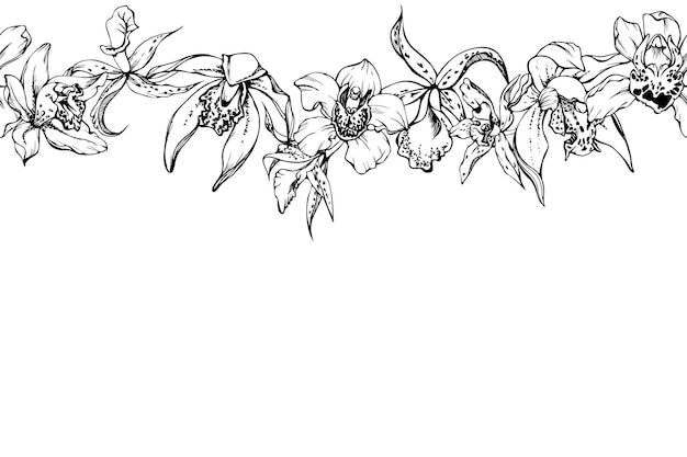 손으로 그린 벡터 잉크 난초 꽃과 가지 흑백 자세한 개요 가로 원활한 배너 흰색 배경에 격리 벽 예술 결혼식 인쇄 문신 커버 카드 디자인