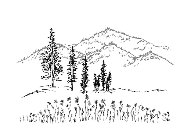 Hand drawn vector landscape with mountains trees and flowers in\
mountain valley mountain peak