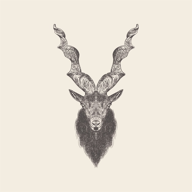 Vector hand drawn vector of markhor illustration.