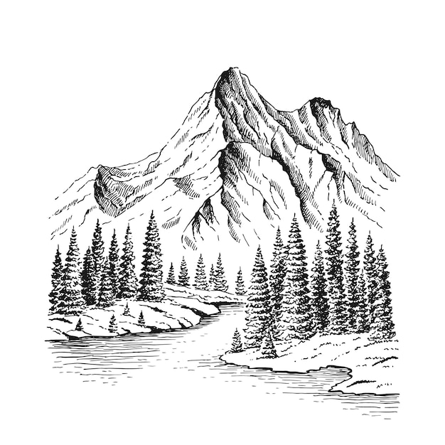 Ручная рисованная векторная иллюстрация природы с горами и лесом Использование для путешествий и природы фона и открытки