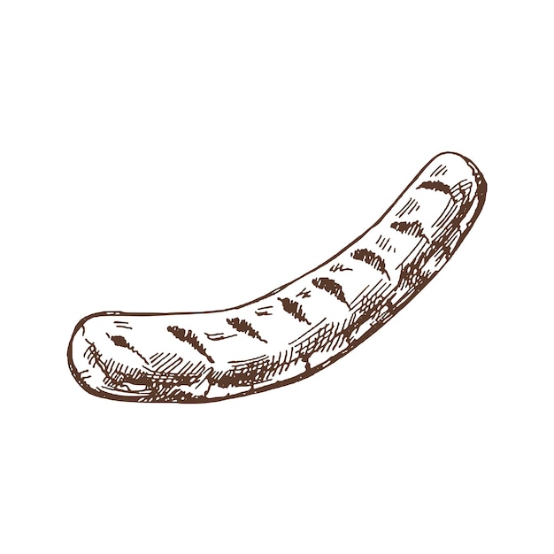 Hand drawn vector sketch of barbecue grilled sausage isolated on white background