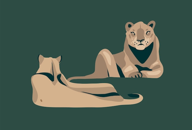 Вектор Ручная рисованная векторная абстрактная графическая иллюстрация с африканскими дикими лежащими львицами, мультяшный дизайн животных, изолированный на заднем плане