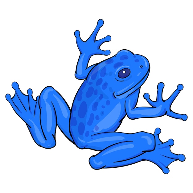 Hand drawn vector of tree frog isolated on white background Original stock illustration of amphibian