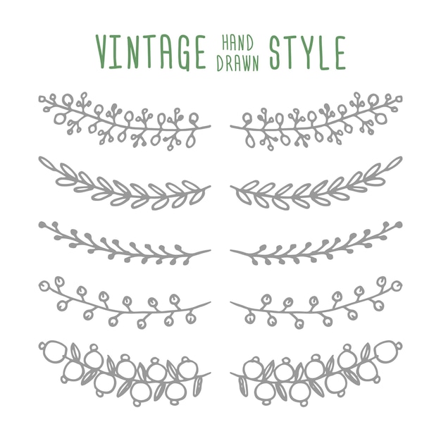 Vector hand drawn vector vintage floral elements