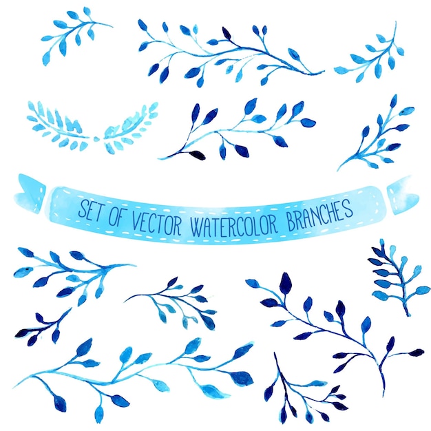 Hand drawn vector watercolor blue branches with leaves set of artistic design elements