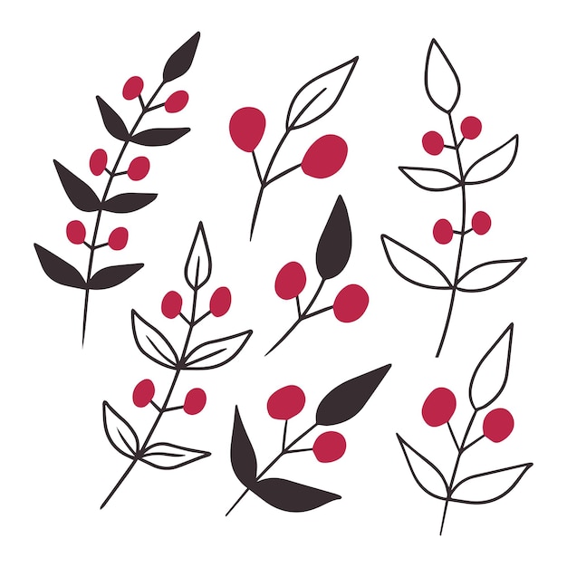 Hand drawn vector winter floral elements winter branches. hand drawn floral elements magenta color