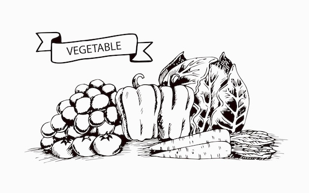 hand drawn vegetable background