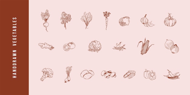 ベクトル 手描きの野菜の概要ベクトルイラストカフェのチラシ配達とレストラン