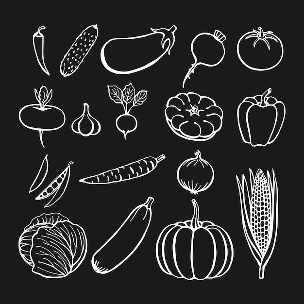 Hand drawn vegetables collection isolated elements Vector illustration